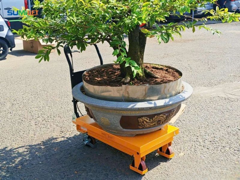 Xe nâng cây cảnh vận chuyển chậu bonsai kích thước lớn trong khu vực nhà vườn.