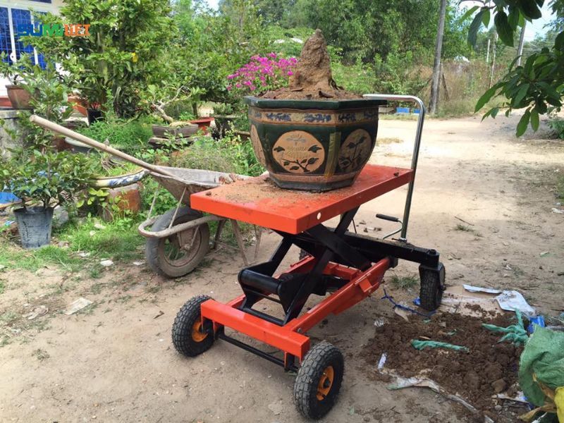 Đối với đa số nhà vườn và cửa hàng cây cảnh, xe nâng cây cảnh là giải pháp đáp ứng tốt.