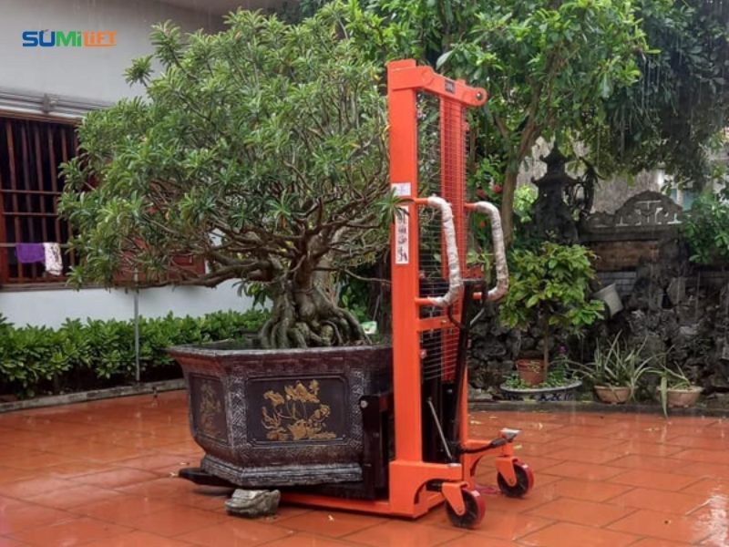 Xe nâng cây cảnh là giải pháp giúp việc nâng hạ và di chuyển các chậu cây có trọng lượng lớn.