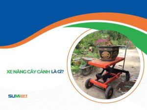xe-nang-cay-canh-la-gi-cover